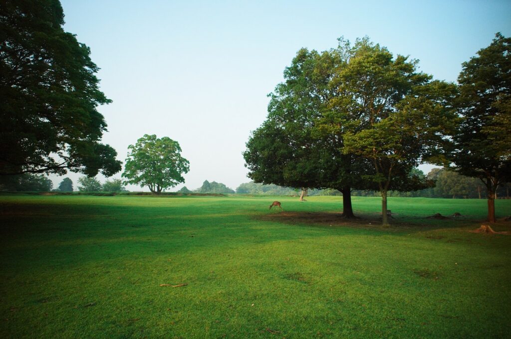 「プロセスが​生む。​もの​づくりの​哲学展」 －好きから​はじまる、​問いの​軌跡－ @MATSUYA GINZA